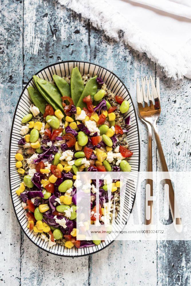 Quinoa salad with Edamame, feta, pomegranate seeds, tomatoes, red cabbage and snow peas on plate SARF03373