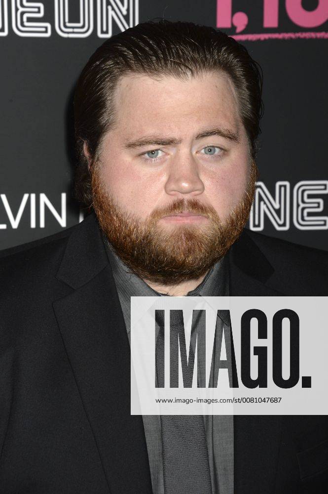 Paul Walter Hauser at the premiere of the movie I Tonya at the Village East Cinema New York 28 11 2017 Foto:xD.Tinex xFuturexImage