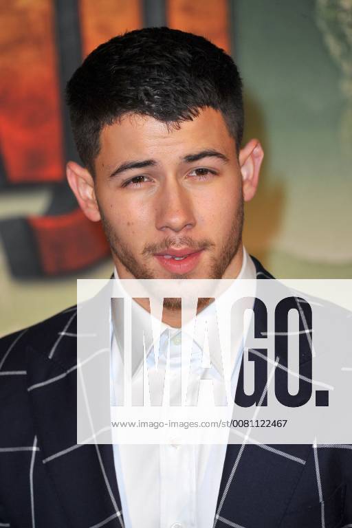 Nick Jonas attends Jumanji movie premiere at Le Grand Rex in Paris, France, on December 05, 2017. Photo by Favier E-PRESSPHOTO.COM Paris France 564599