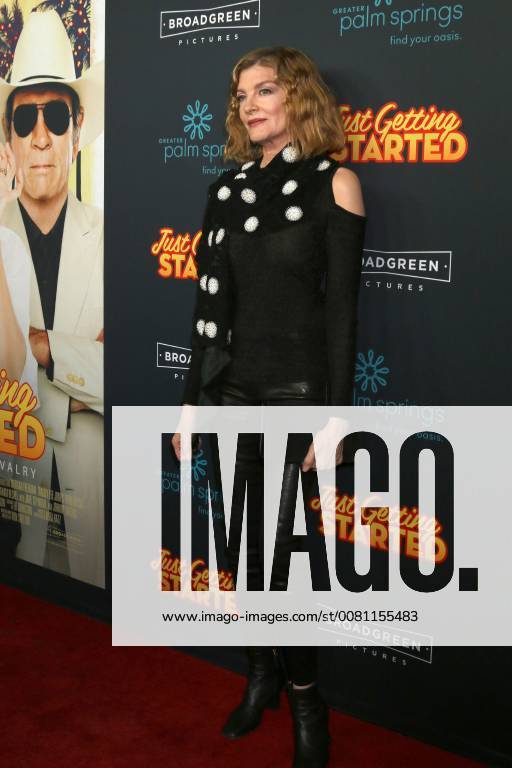 LOS ANGELES - DEC 7: Rene Russo at the Just Getting Started Premiere at ArcLight Hollywood on December 7, 2017 in Los Angeles, CA