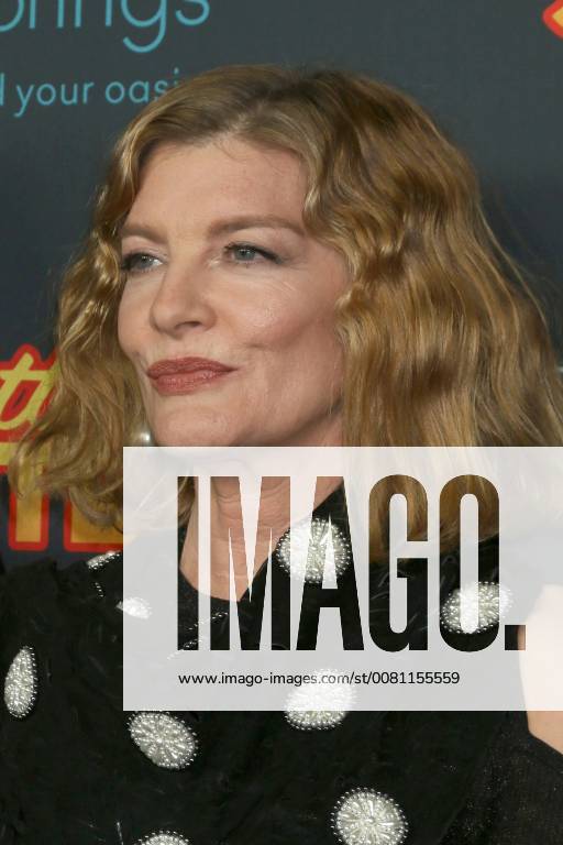 LOS ANGELES - DEC 7: Rene Russo at the Just Getting Started Premiere at ArcLight Hollywood on December 7, 2017 in Los Angeles, CA