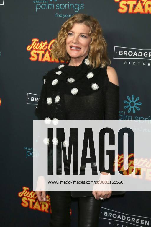 LOS ANGELES - DEC 7: Rene Russo at the Just Getting Started Premiere at ArcLight Hollywood on December 7, 2017 in Los Angeles, CA