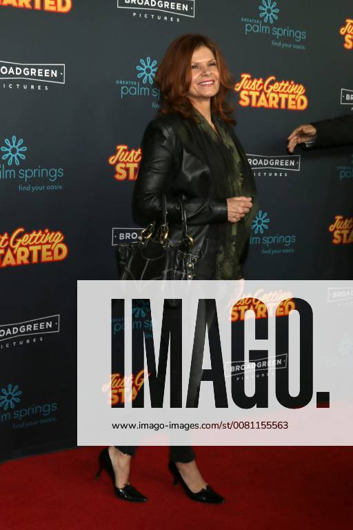 LOS ANGELES - DEC 7: Lolita Davidovich at the Just Getting Started Premiere at ArcLight Hollywood on December 7, 2017 in Los Angeles, CA