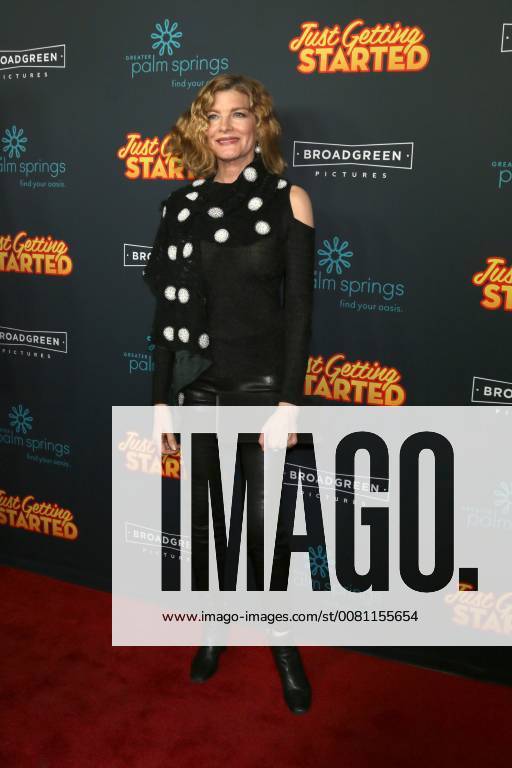 LOS ANGELES - DEC 7: Rene Russo at the Just Getting Started Premiere at ArcLight Hollywood on December 7, 2017 in Los Angeles, CA