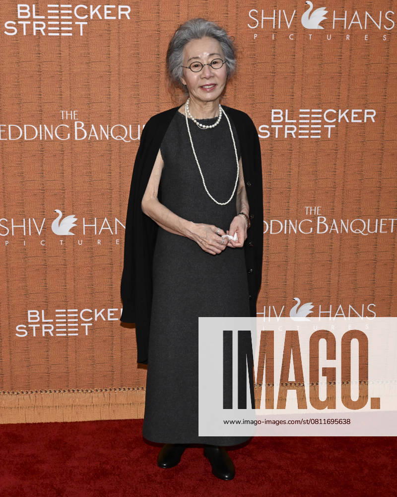 Youn Yuh-Jung attends The Wedding Banquet Los Angeles Premiere. Los Angeles USA - ZUMAb173 20250414_aap_b173_024
