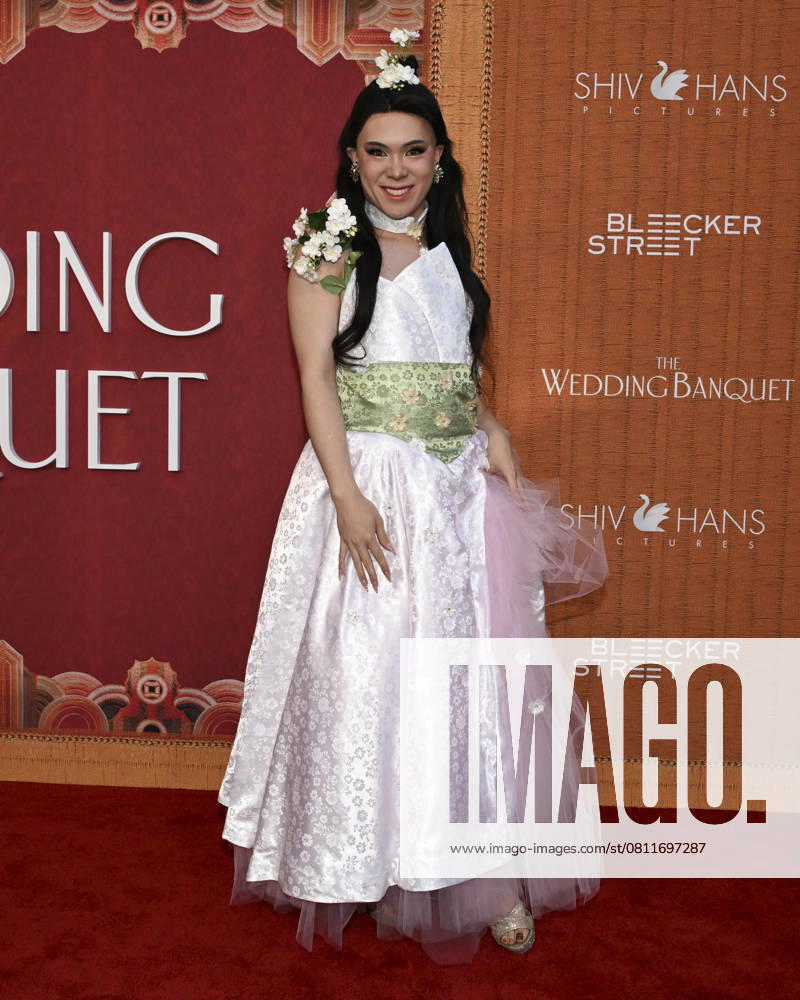 Miss Shu Mai attends The Wedding Banquet Los Angeles Premiere. Los Angeles USA - ZUMAb173 20250414_aap_b173_039