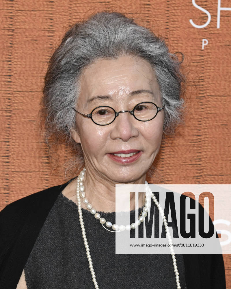 Youn Yuh-Jung attends The Wedding Banquet Los Angeles Premiere. Los Angeles USA - ZUMAb173 20250414_aap_b173_090