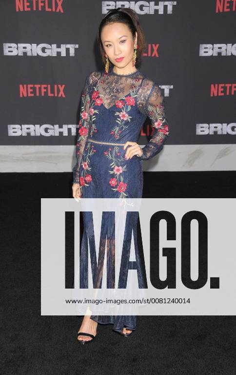 Los Angeles, California, United States - December 13th 2017 - Los Angeles, California USA - Actress BRIT BARON at Bright Premiere held at the Regency Theater Village, Westwood, CA. Los Angeles United States - ZUMAf05_ 20171213_zaf_f05_004