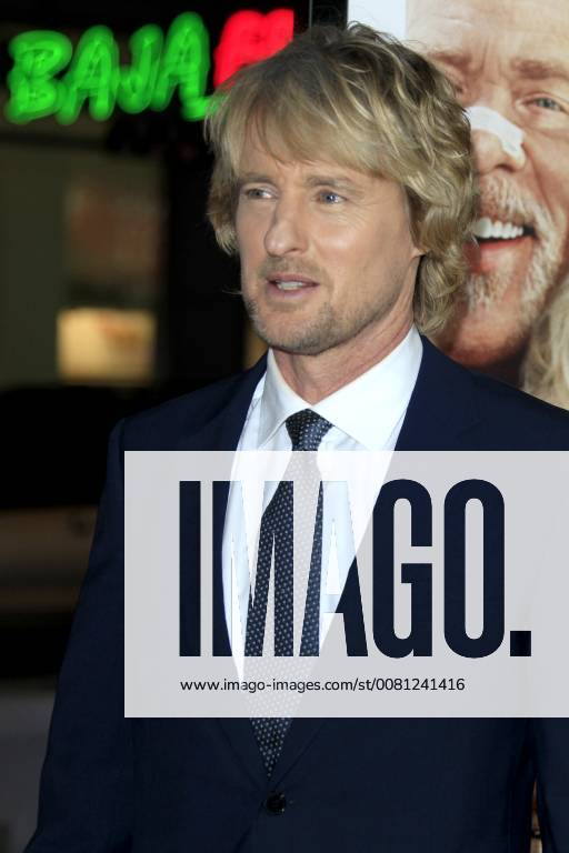 LOS ANGELES - DEC 13: Owen Wilson at the Father FIgures Premiere at TCL Chinese Theater IMAX on December 13, 2017 in Los Angeles, CA