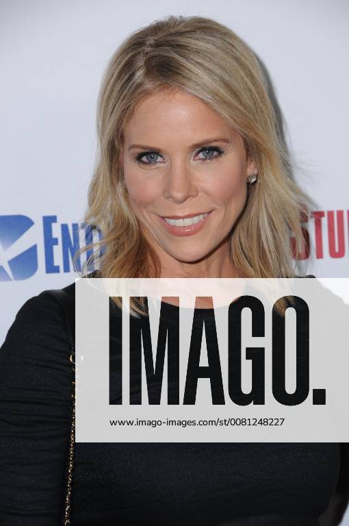 Beverly Hills, CA, U.S. - 14 December 2017 - Beverly Hills, California - Cheryl Hines. Hostiles Los Angeles Premiere held at Samuel Goldwyn Theater in Beverly Hills. Photo Credit: AdMedia Beverly Hills U.S. - ZUMAa123 20171214_zaa_a123_066
