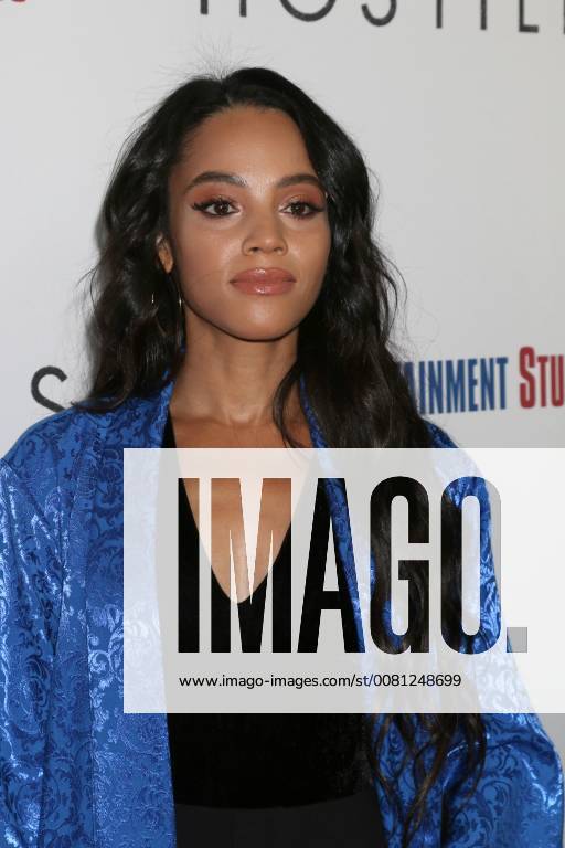 LOS ANGELES - DEC 14: Bianca Lawson at the Hostiles Premiere at Samuel Goldwyn Theater, The Academy of Motion Picture Arts and Sciences on December 14, 2017 in Beverly Hills, CA