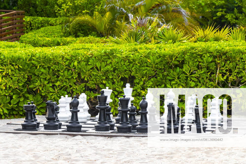 Giant large chess pieces on chessboard outside on the beach in Playa del Carmen Quintana Roo Mexico. , 59046258.jpg, strategic, bishop, checkmate, player, figure, sand, park, play, big, competition, giant, chess, king, chessboard, piece, outside, success, game, queen, leisure, black, battle, strategy, board, intelligence, set, outdoor, white, knight, chessman, fight, move, concept, summer, large, pawn, sport, playa del carmen, quintana roo, mexico, riviera maya, mexican, playa, travel, america, beach, playa del carmen mexico, american, maya, cancun RECORD DATE NOT STATED