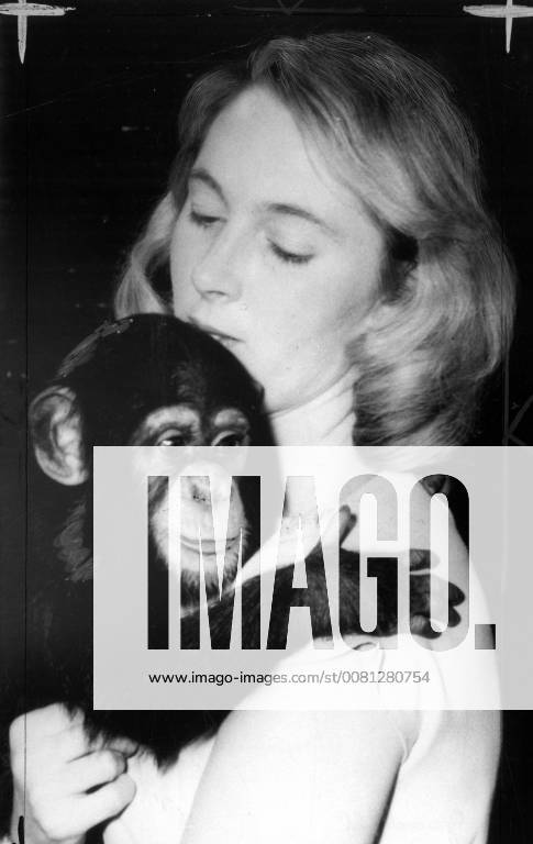 IMAGO ICONS: Jane Goodall Jane Goodall. 3 March 1964, Poland
