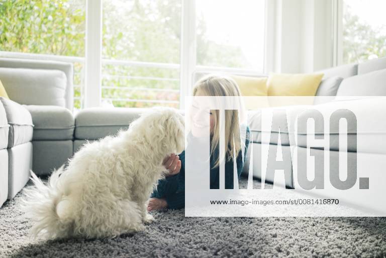 Smiling woman petting her dog in living room model released Symbolfoto property released MOEF00283