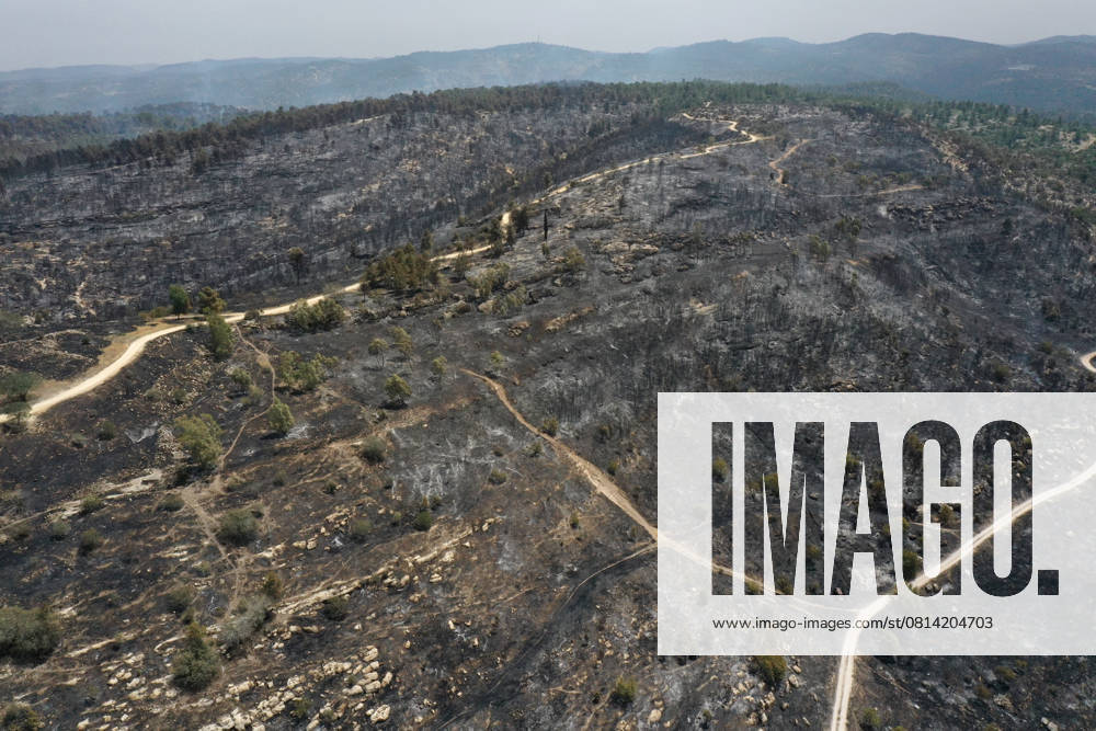 (250425) -- JERUSALEM, April 25, 2025 -- An aerial drone photo taken on April 24, 2025 shows burned trees in a nature reserve near Jerusalem after a massive wildfire. (Photo by Xinhua) MIDEAST-JERUSALEM-WILDFIRE GilxCohenxMagen