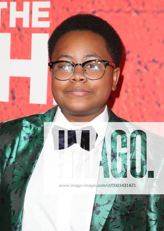 Los Angeles, California, U.S. - 03 January 2018 - Los Angeles, California - Shamon Brown. Showtime s The Chi Los Angeles Premiere held at Downtown Independent. Photo Credit: AdMedia Los Angeles U.S. - ZUMAa123 20180103_zaa_a123_117