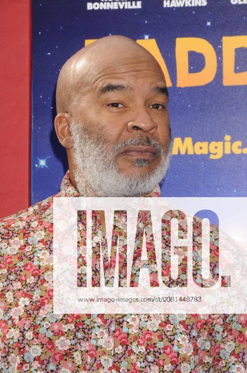 Los Angeles, California, United States - January 6th 2018 - Los Angeles, California USA - Actor DAVID ALAN GRIER at Paddington 2 Premiere held at the Regency Village Theater, Westwood, CA. Los Angeles United States - ZUMAf05_ 20180106_zaf_f05_040