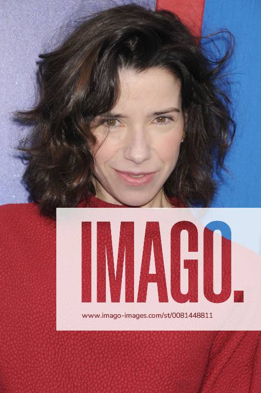 Los Angeles, California, United States - January 6th 2018 - Los Angeles, California USA - Actress SALLY HAWKINS at Paddington 2 Premiere held at the Regency Village Theater, Westwood, CA. Los Angeles United States - ZUMAf05_ 20180106_zaf_f05_059