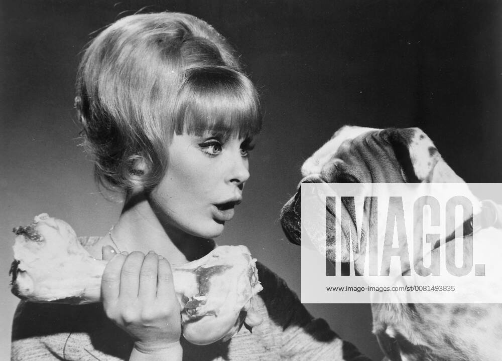 GERMAN ACTRESS ELKE SOMMER WITH A DOG ; 3 JANUARY 1964,