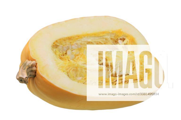 Spaghetti-Kuerbis, Spaghettikuerbis (Cucurbita pepo), halbierte Frucht, das Fruchtfleisch zerfaellt nach dem Garen in Spaghetti-aehnliche Fasern Spaghetti pumpkin (Cucurbita pepo), half fruit, Bundesrepublik Deutschland BLWS471641