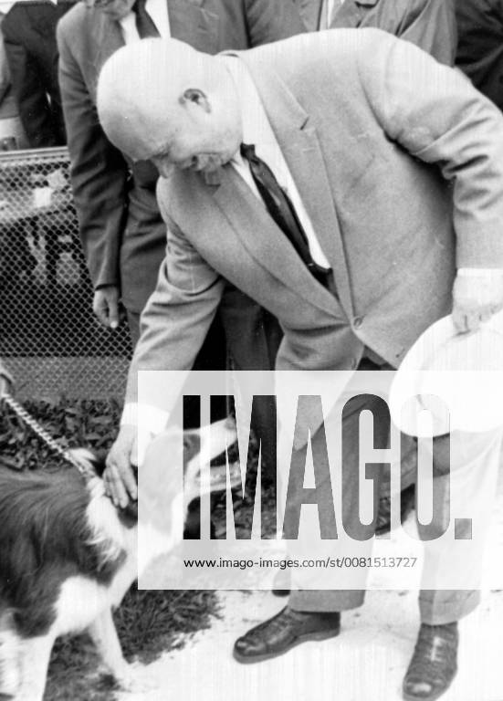 SOVIET PRIME MINISTER NIKITA KHRUSHCHEV WITH PET SHEEPDOG FLASH IN MOSCOW ; 28 MAY 1964,