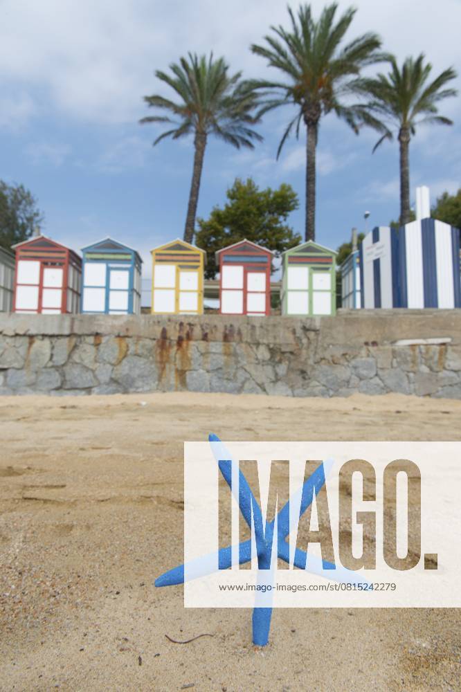 Bunte Holzhütten am Strand mit blauen Seesternen davor Colorful wooden beach cabins with blue starfish in front