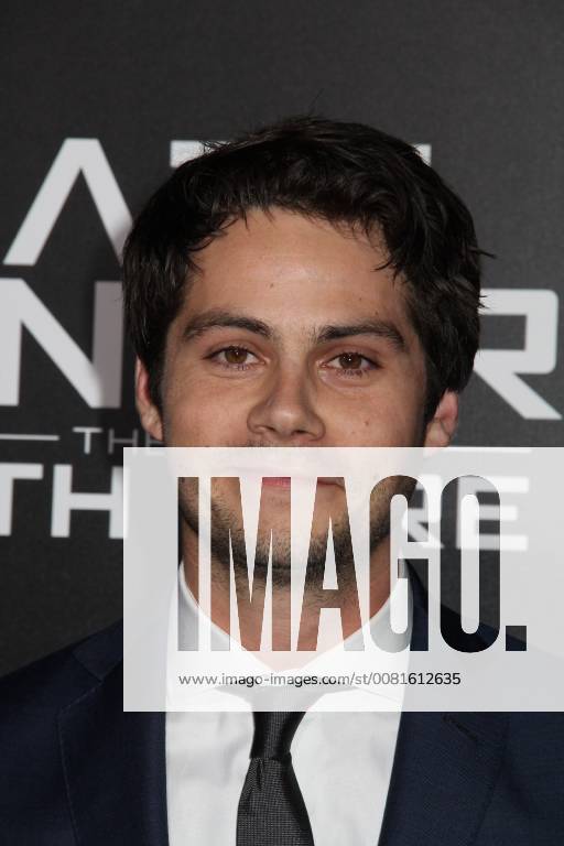 Dylan O’Brien 01 18 2018 Red Carpet Fan Screening of Maze Runner: The Death Cure held at AMC Century City 15 at Westfield Century City Mall in Los Angeles, CA