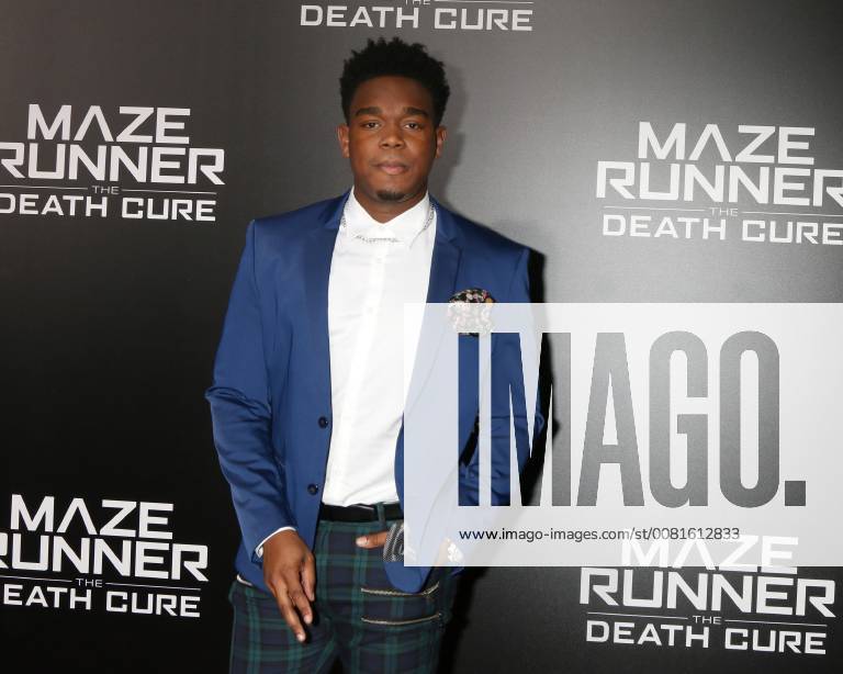 LOS ANGELES - JAN 18: Dexter Darden at the Maze Runner: The Death Cure Fan Screening at AMC 15 on January 18, 2018 in Century City, CA