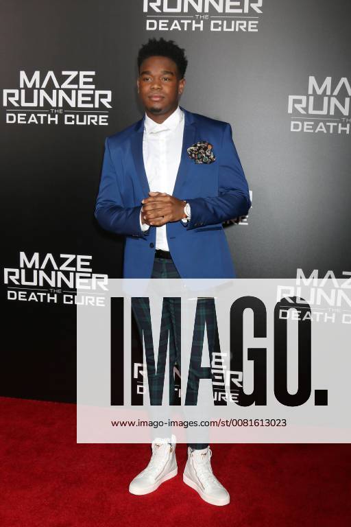 LOS ANGELES - JAN 18: Dexter Darden at the Maze Runner: The Death Cure Fan Screening at AMC 15 on January 18, 2018 in Century City, CA
