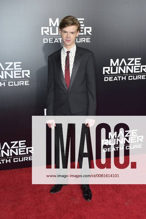 Thomas Brodie Sangster at the fan screening of the movie maze runner the death cure maze runner the elect in the death zone at the AMC century city 15 theatre of Los Angeles 18 01 2018 Foto:xD.xStarbuckx xFuturexImage