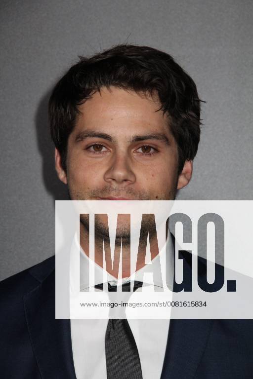 Dylan O Brien 01 18 2018 Red Carpet Fan Screening of Maze Runner: The Death Cure held at AMC Century City 15 at Westfield Century City Mall in Los Angeles, CA