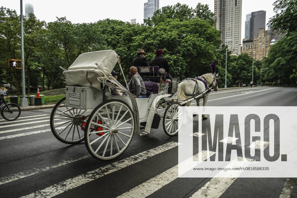 Central Park Pferdekutsche. Drehort: New York, Manhattan Central Park horse-drawn carriage. Shooting Location: New York, Manhattan