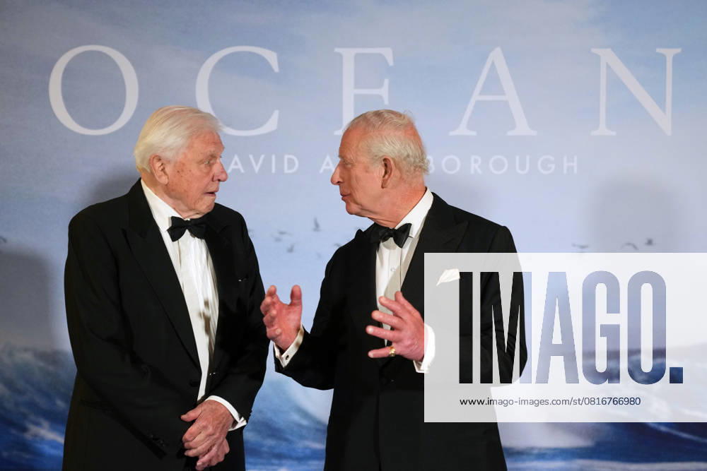 King Charles III attends David Attenborough s film premiere in London, 06 May 2025 London, UK, 06 May 2025: Britain s King Charles III meets broadcaster and biologist David Attenborough as he attends the Ocean with David Attenborough film premiere in London., Credit:Alastair Grant Avalon GBR, London