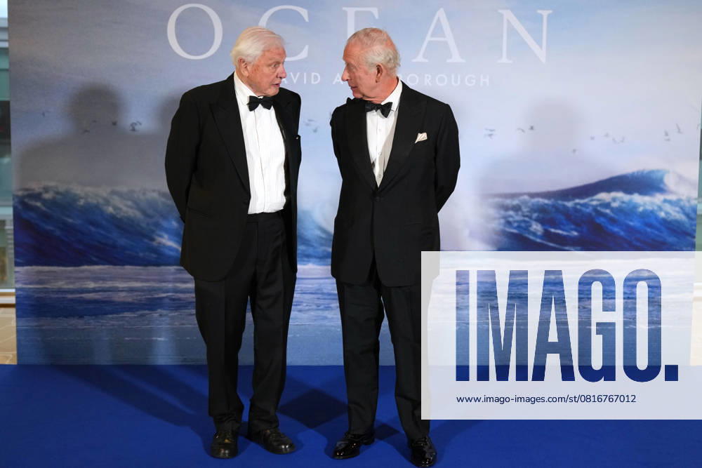 King Charles III attends David Attenborough s film premiere in London, 06 May 2025 London, UK, 06 May 2025: Britain s King Charles III meets broadcaster and biologist David Attenborough as he attends the Ocean with David Attenborough film premiere in London., Credit:Alastair Grant Avalon GBR, London