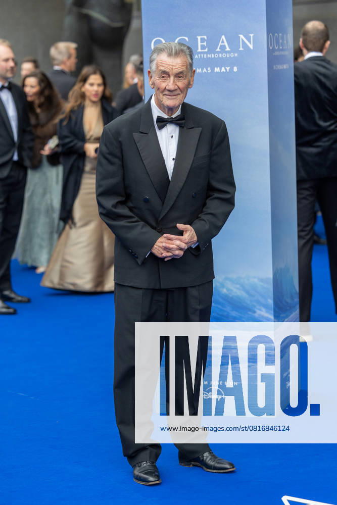Ocean with David Attenborough World Film Premiere Celebs attend Ocean with David Attenborough World Film Premiere at the Royal Festival Hall Featuring: Sir Michael Palin Where: London, United Kingdom When: 06 May 2025 Credit: Phil Lewis WENN London United Kingdom
