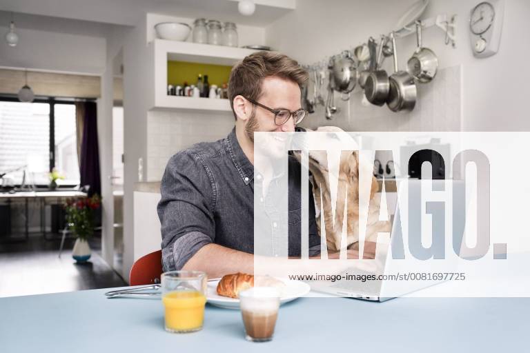 Smiling man with dog using laptop in kitchen at home model released Symbolfoto property released PESF00764