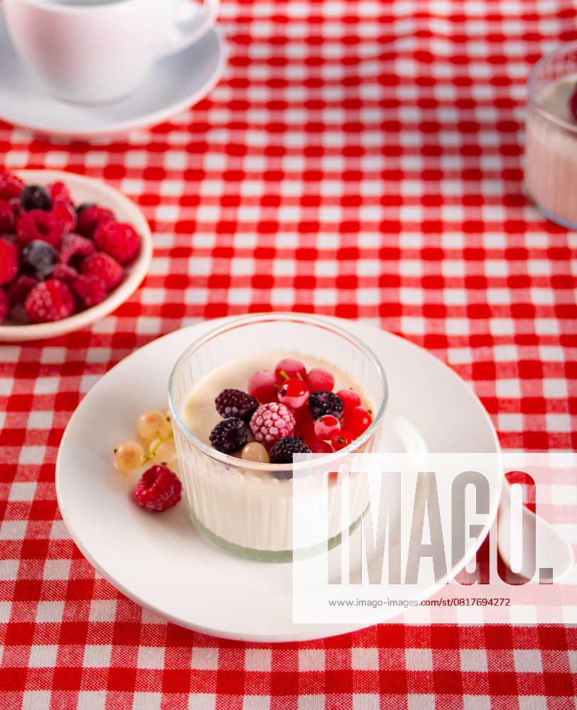 Frischer hausgemachter Joghurt mit verschiedenen Beeren auf rot kariertem Tischtuch. Gesundes Frühstück Konzept. Fresh homemade yogurt with various berries on red checkered tablecloth. Healthy breakfast concept (License=RF)