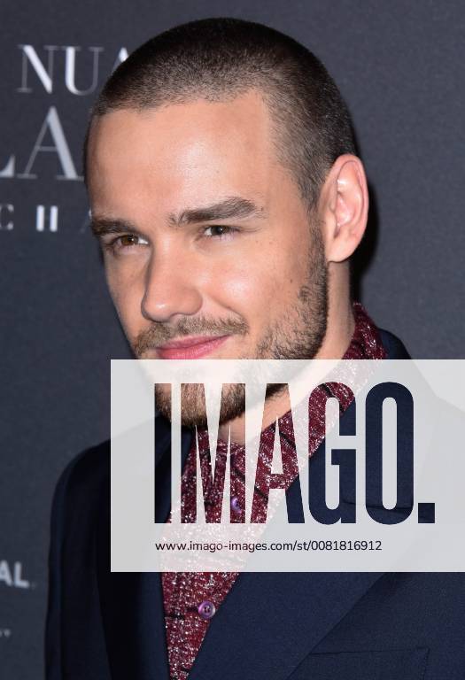 Fifty Shades of Grey 3 Premiere in Paris Liam Payne ( chanteur ) lors du photocall pour l avant premiere du film 50 NUANCES PLUS CLAIRES a Paris CELEBRITES : Avant premiere du film 50 NUANCES PLUS CLAIRES - Paris - 06 02 2018 FedericoPestellini Panoramic
