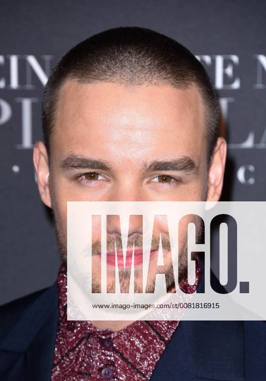 Fifty Shades of Grey 3 Premiere in Paris Liam Payne ( chanteur ) lors du photocall pour l avant premiere du film 50 NUANCES PLUS CLAIRES a Paris CELEBRITES : Avant premiere du film 50 NUANCES PLUS CLAIRES - Paris - 06 02 2018 FedericoPestellini Panoramic