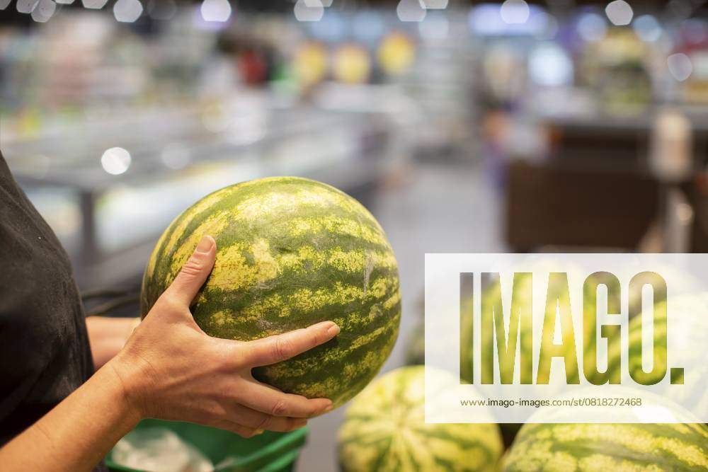 Hände halten eine Wassermelone vor dem Hintergrund einer unscharfen Ladentheke Hands holding a watermelon against the background of a blurred store counter