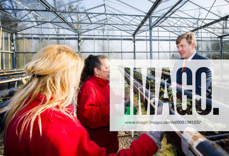 Everdingen, 21 February 2018-King Willem-Alexander has Wednesday afternoon 21 February paid a working visit to the Foundation Vital Village in Everdingen. The Foundation is committed to providing facilities and activities that are in danger of disappearing and so the vitality of Everdingen and its inhabitants. Through the efforts of vital village has a food store, a concern Everdingen, a coffee corner and a library. Volunteers, people with a work limitation and participants of reintegration projects are helping to run these features. More welfare for employees and for the village and the environment are paramount. Thus, Vital Village on estate Everstein also a greenhouse where vegetables are grown in the on-site shop are sold. There is also in the greenhouse a workshop where various creative activities are organised. King Willem-Alexander