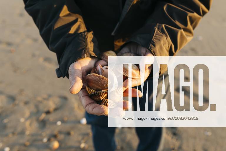 Senior man strolling at the beach, collecting shells model released Symbolfoto JRFF01523