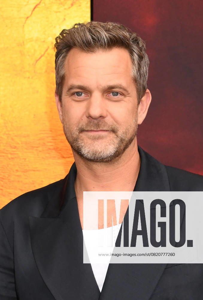 NEW YORK, NY- MAY 27: Joshua Jackson at The NY World Premiere of Karate Kid: Legends on May 27, 2025 in New York City.