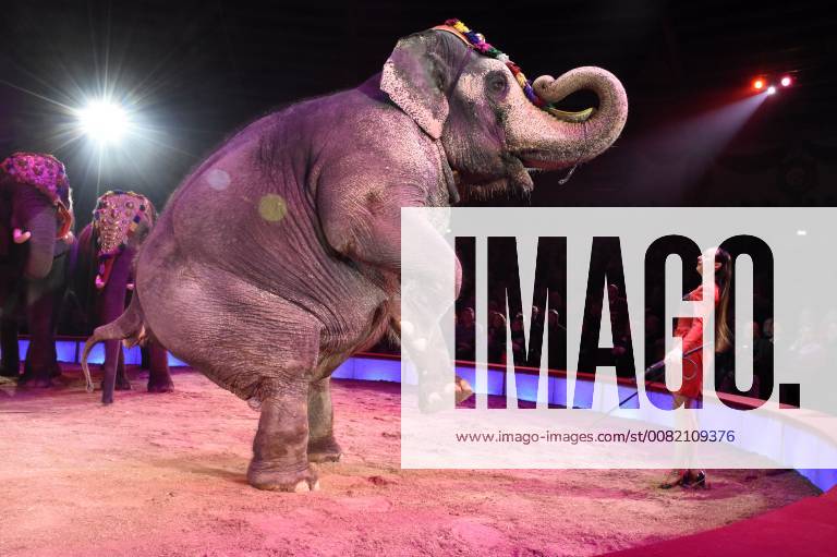 Jana Mandana Lacey Krone at the premiere of the 3 Winter Program 2018 of Circus Krone in Kronebau Munich 01 03 2018 Foto:xP.xSchönbergerx xFuturexImage