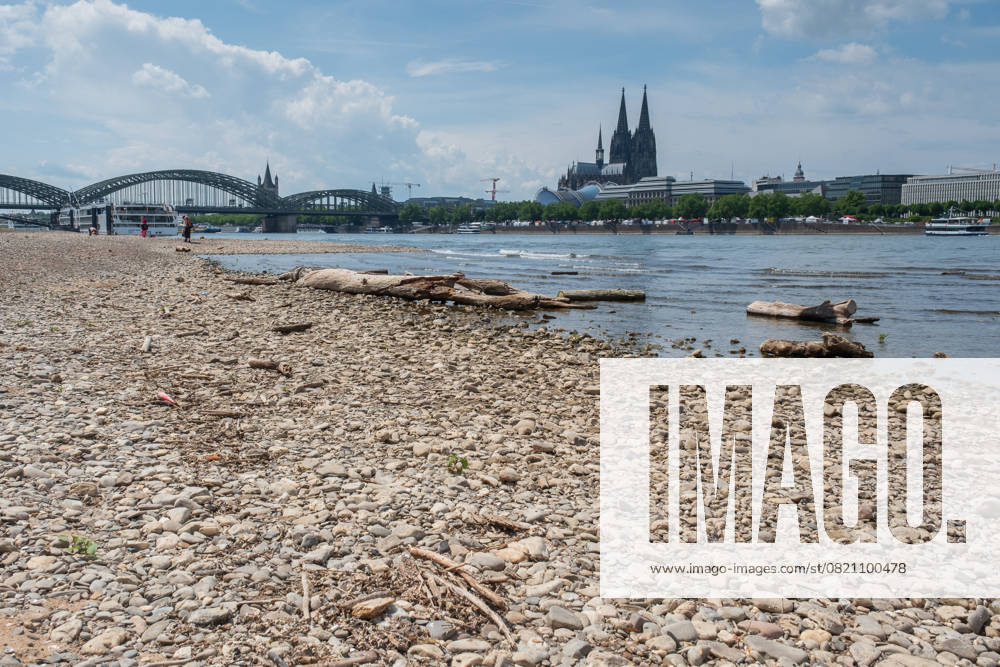 The Rhine near Cologne has extremely low water in May - the lowered water level exposes banks and changes the familiar city panorama. Nordrhein-Westfalen Deutschland, Germany GMS19340