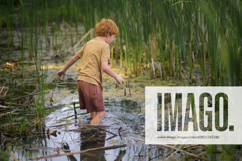 IMAGO Creative, Jahreszeit Sommer, Sommerferien Boy enjoys walking through shallow pond water to explore Granger, Iowa, United States CR_LIPF250526-1741940-01 ,model released, Symbolfoto
