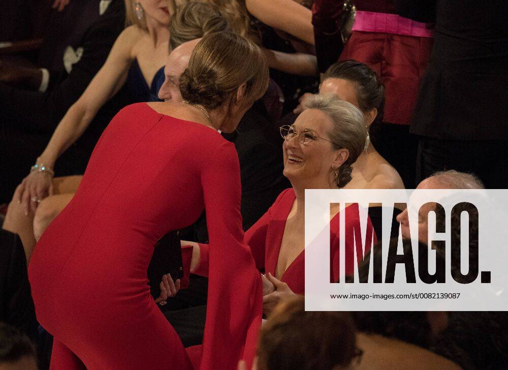Oscar nominee for Best Actress, Meryl Streep at The 90th Oscars® at the Dolby® Theatre in Hollywood, CA on Sunday