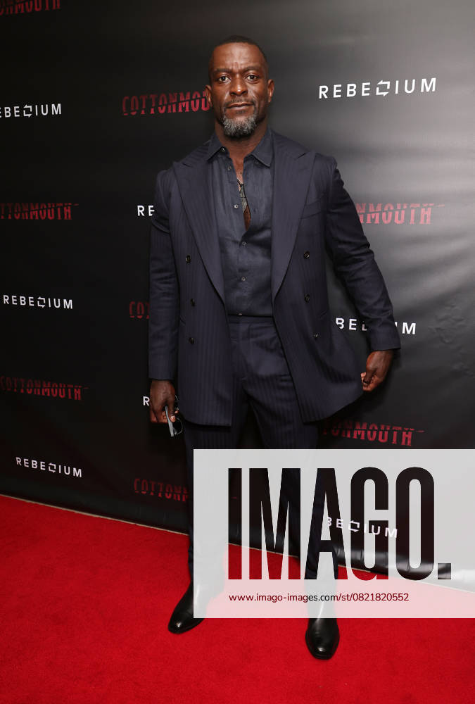 Premiere of Cottonmouth held at the The London West Hollywood Featuring: Michael James Shaw Where: Los Angeles, California, United States When: 08 Jun 2025 Credit: Faye s Vision Cover Images . NOT FOR USE BY NEWSPAPERS BASED IN THE UK.