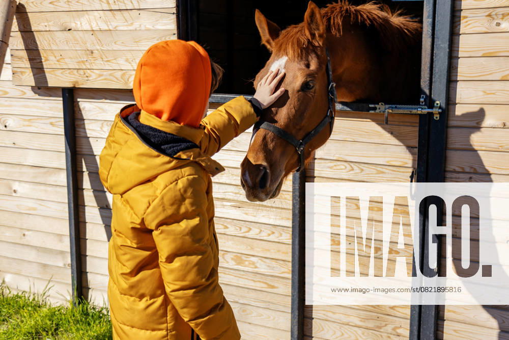 Boy in orange hoodie petting a horse outdoors New York, New York, United States R_THNZ250522-1736384-01 ,model released, Symbolfoto
