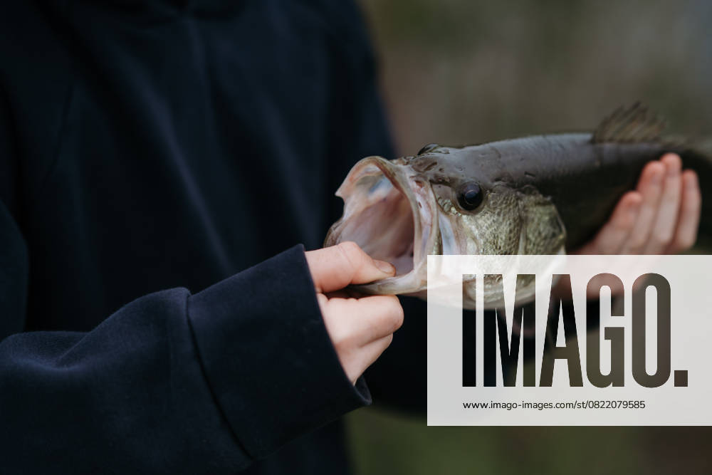 IMAGO Creative, Jahreszeit Sommer, Sommerferien Closeup of child holding largemouth bass by open mouth Grimes, Iowa, United States CR_LIPF250602B-1747930-01 ,model released, Symbolfoto